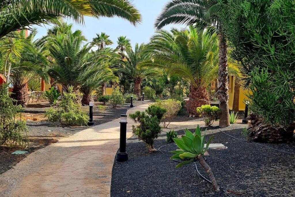 Appartamento Frangipani Con Terrazza E Piscina Corralejo Exterior foto