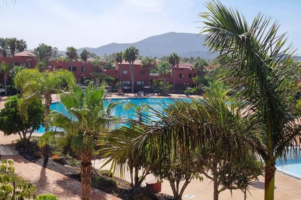 Appartamento Frangipani Con Terrazza E Piscina Corralejo Exterior foto